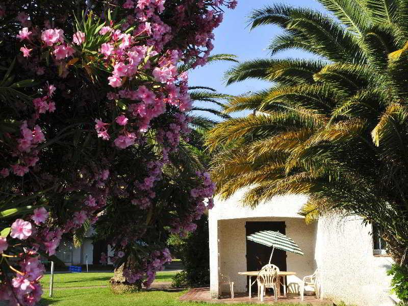 Hotel Le Domaine Du Mas Blanc By Popinns Alénya Eksteriør billede