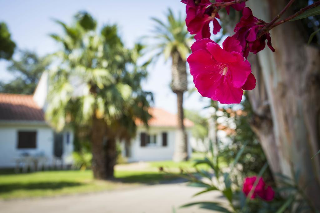 Hotel Le Domaine Du Mas Blanc By Popinns Alénya Eksteriør billede
